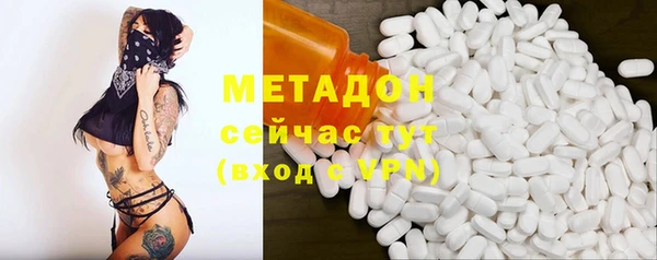 индика Алзамай