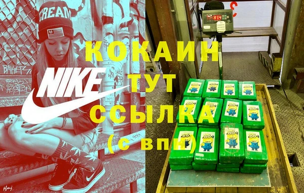 индика Алзамай