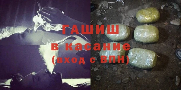 индика Алзамай