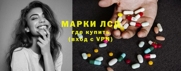 крисы Горняк
