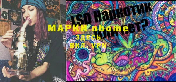 индика Алзамай