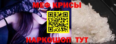 амф Кингисепп
