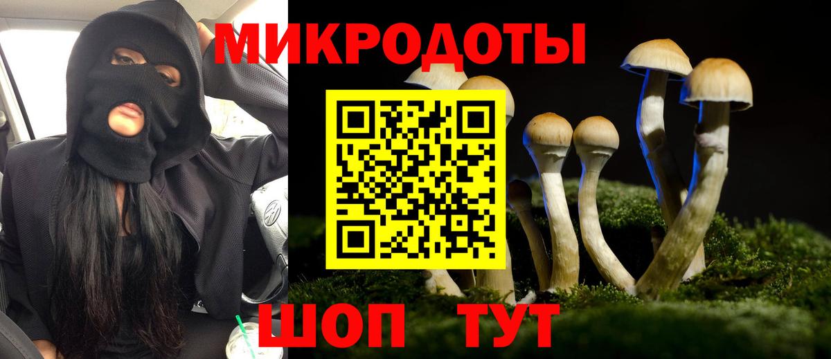 Галлюциногенные грибы Psilocybe  Вход с VPN  Псилоцибиновые грибы Psilocybine cubensis  Набережные Челны 